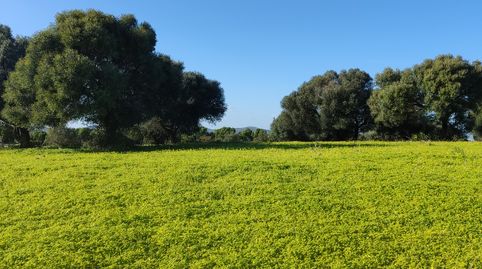 Photo 5 of Country homes for rent in Medina Sidonia, Cádiz