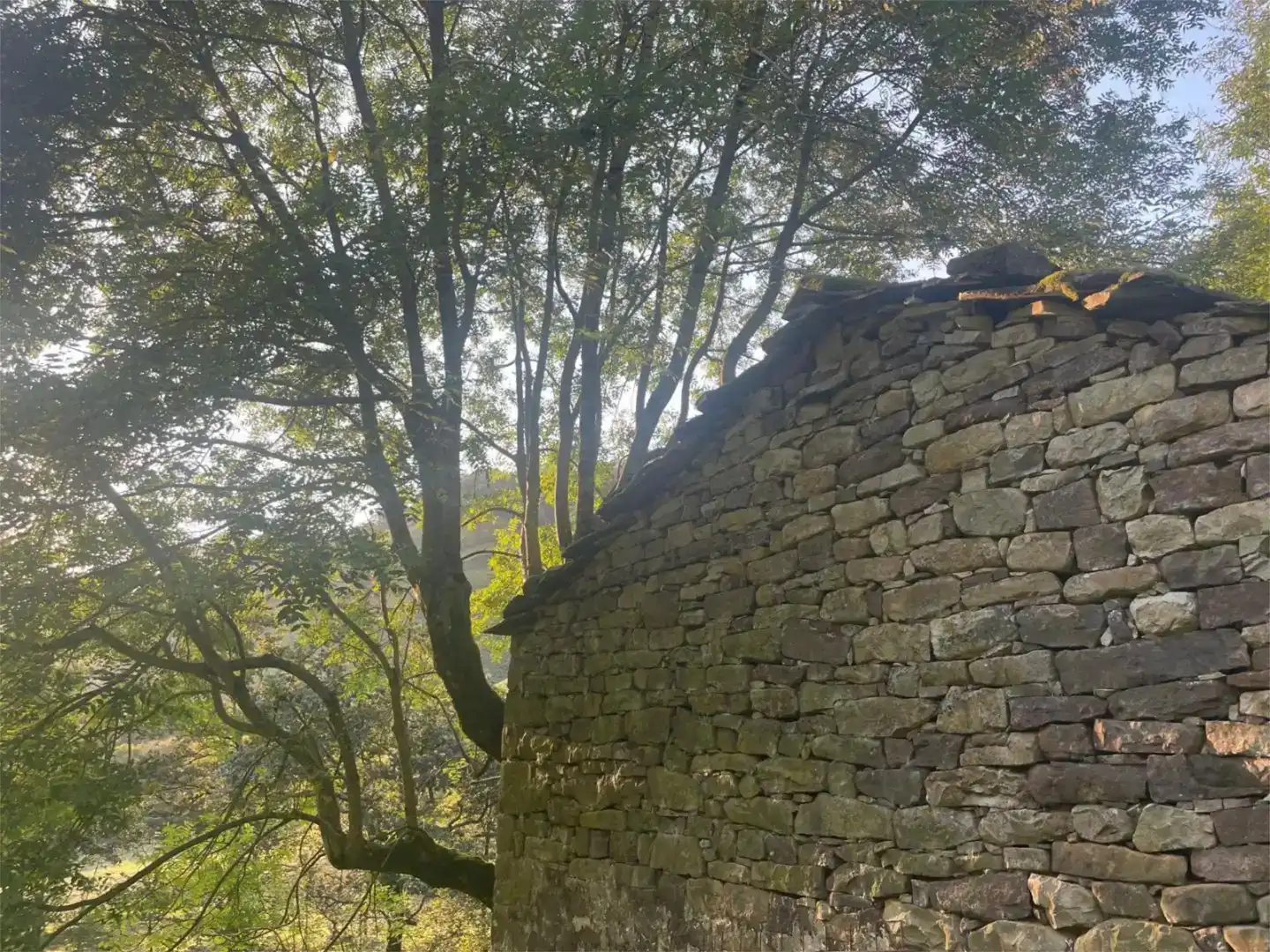 Vista exterior de Finca rústica en venda en Selaya