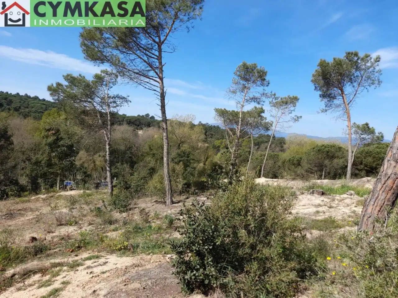 Residential land for sale in Montbarbat, imagen 15