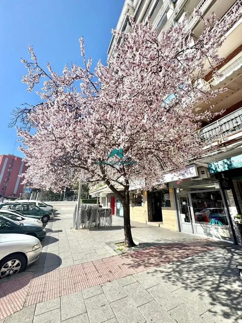 Exterior view of Commercial properties for rent in Alcorcón