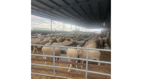 Finca rustica en venta en Daimiel, imagen 2