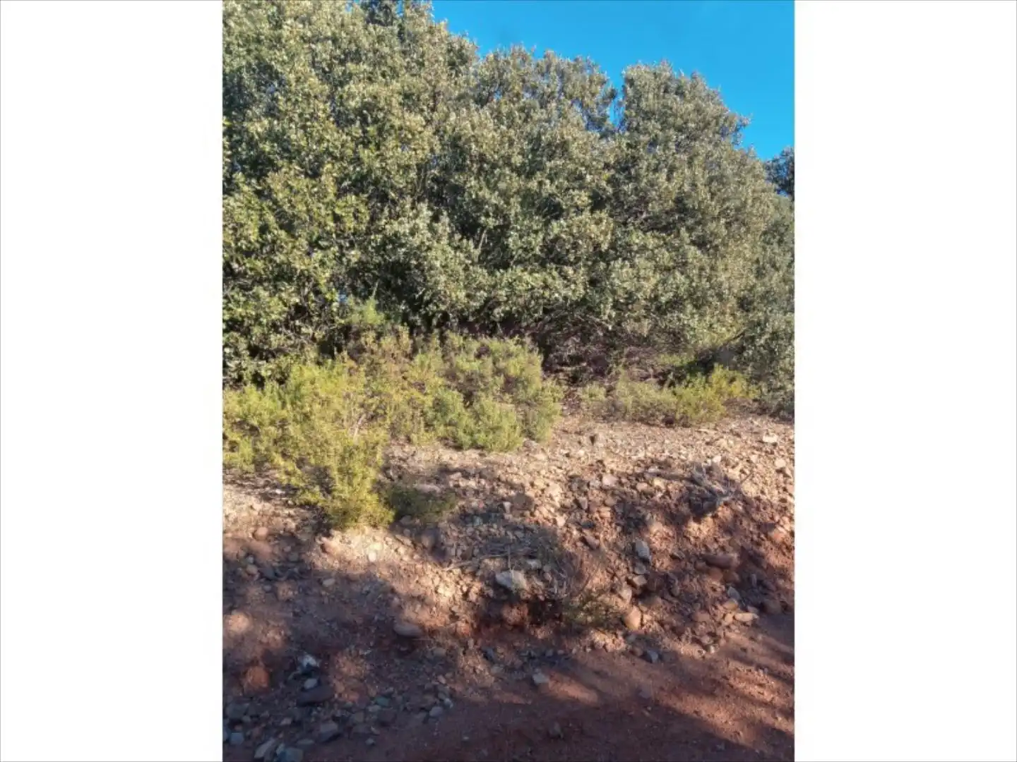 Terreni e lotti in affitto a Unnamed Road, imagen 3