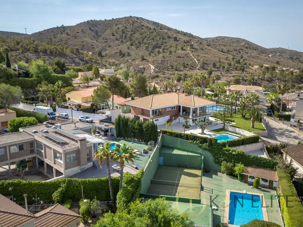 Vista exterior de Casa o chalet en venta en Petrer con Aire acondicionado, Jardín privado y Piscina