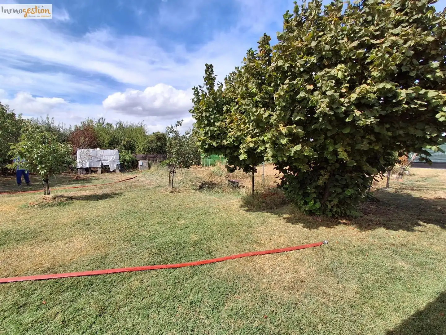 Terreno rustico in vendita a Tudela de Duero, imagen 23