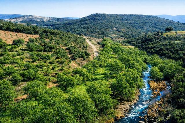 Terreno en Venta en Plaza del Alamo, 5 en Los Navalucillos