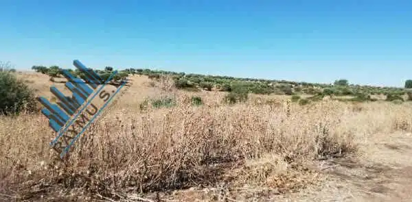 Terrain résidentiel à vendre à Calle CAMARMA, imagen 7