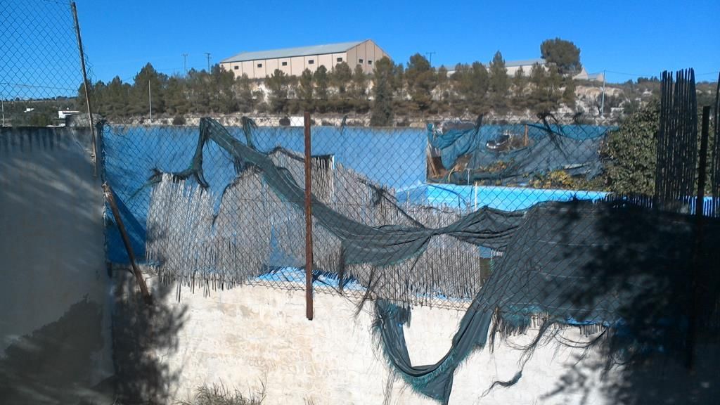 Swimming pool of Land for sale in Calasparra