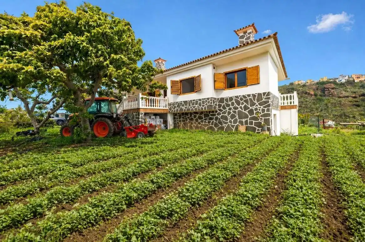 Maison avec jardin à vendre à A Los Olivos, imagen 3