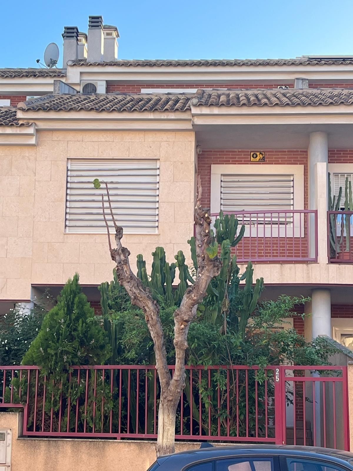 Vista exterior de Dúplex en venda en  Murcia Capital amb Jardí privat, Terrassa i Balcó
