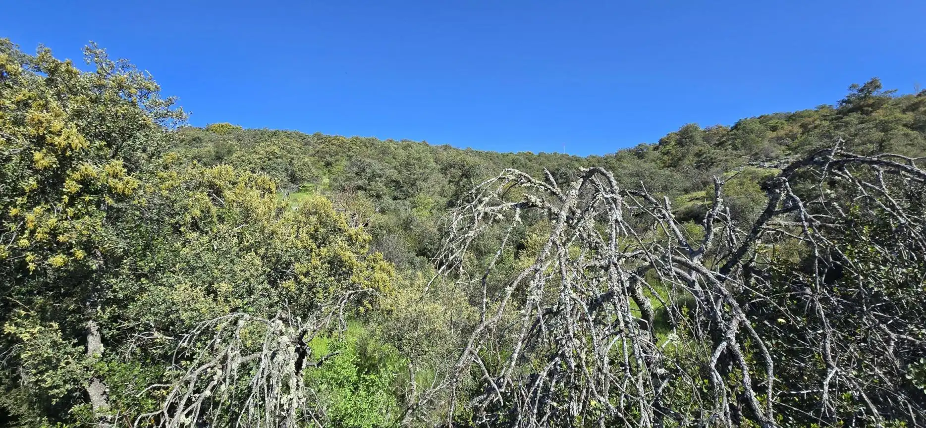 Terrenys i solars en venda a San Agustín del Guadalix pueblo, imagen 3