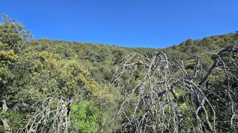 Foto 3 de Residencial en venda a San Agustín del Guadalix pueblo, San Agustín del Guadalix