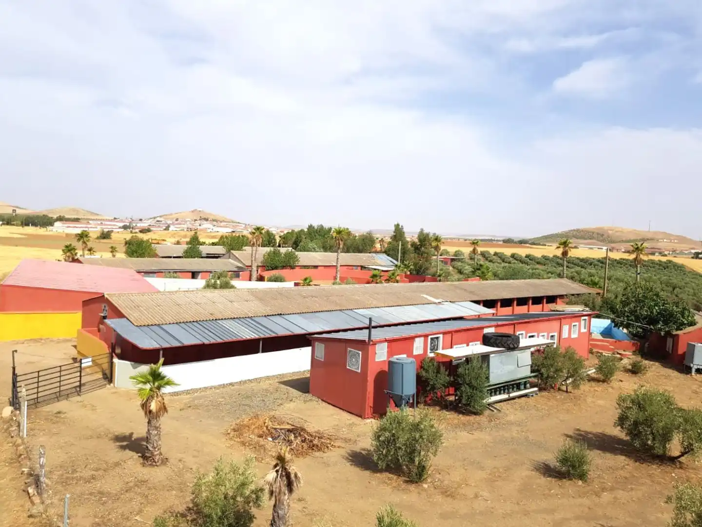 Casa rústica en venda a Torrenueva, imagen 35