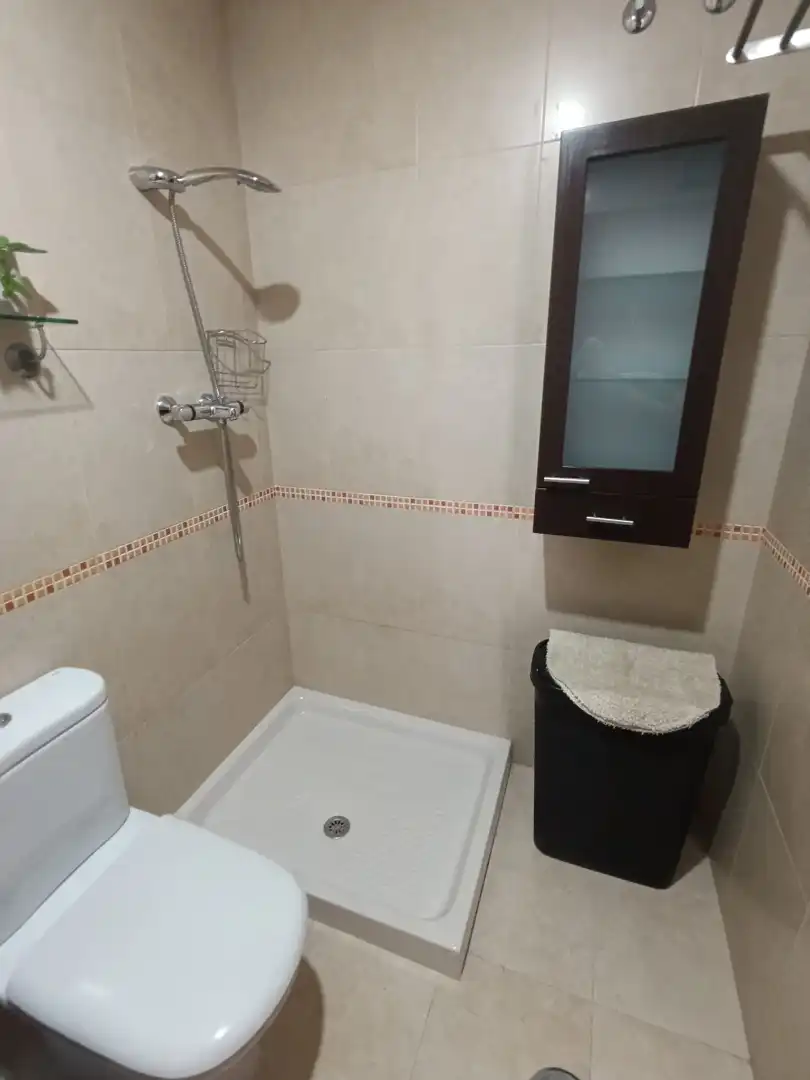 Bathroom of Apartments for rent in Gijón   with Heating, Storage room and Furnished