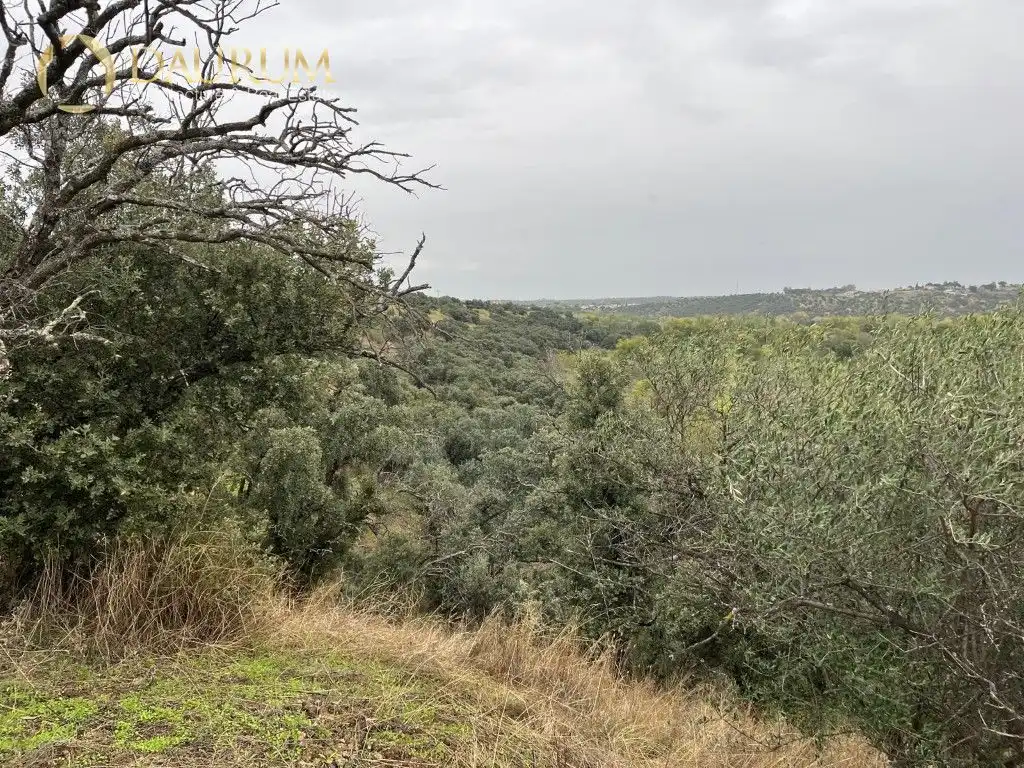 Casa o chalet en venta en Aldea del Fresno
