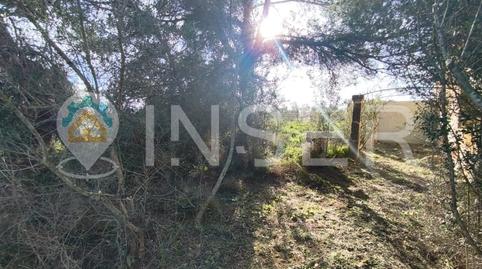 Photo 3 of House or chalet for sale in Calle de Sencelles, Cristo Rey - Parque Europa, Inca