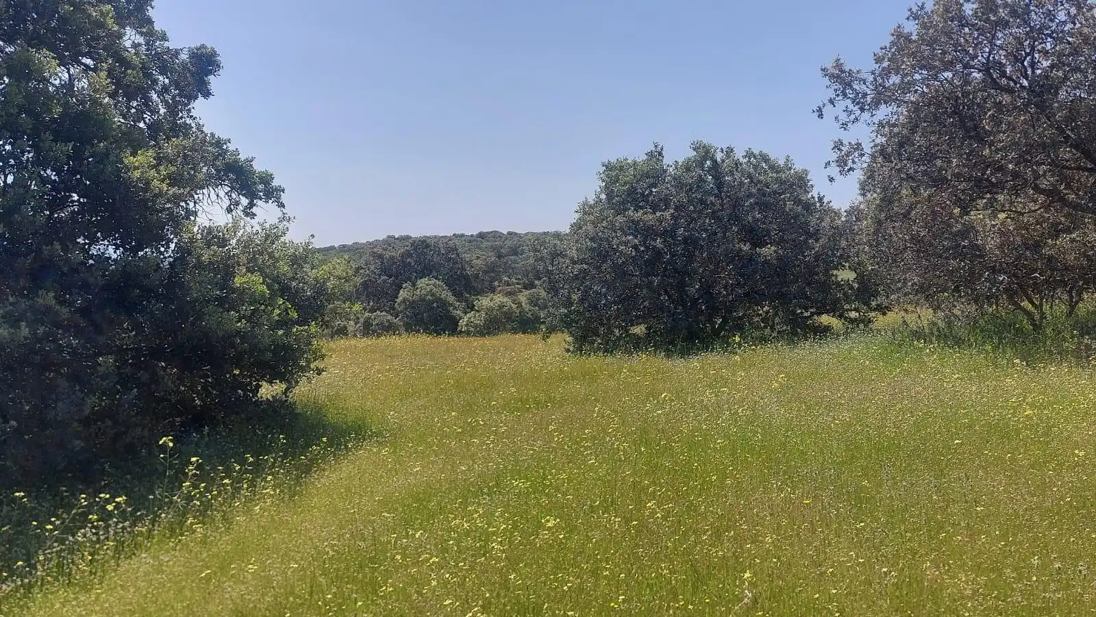 Residencial en venda en Aldeaquemada
