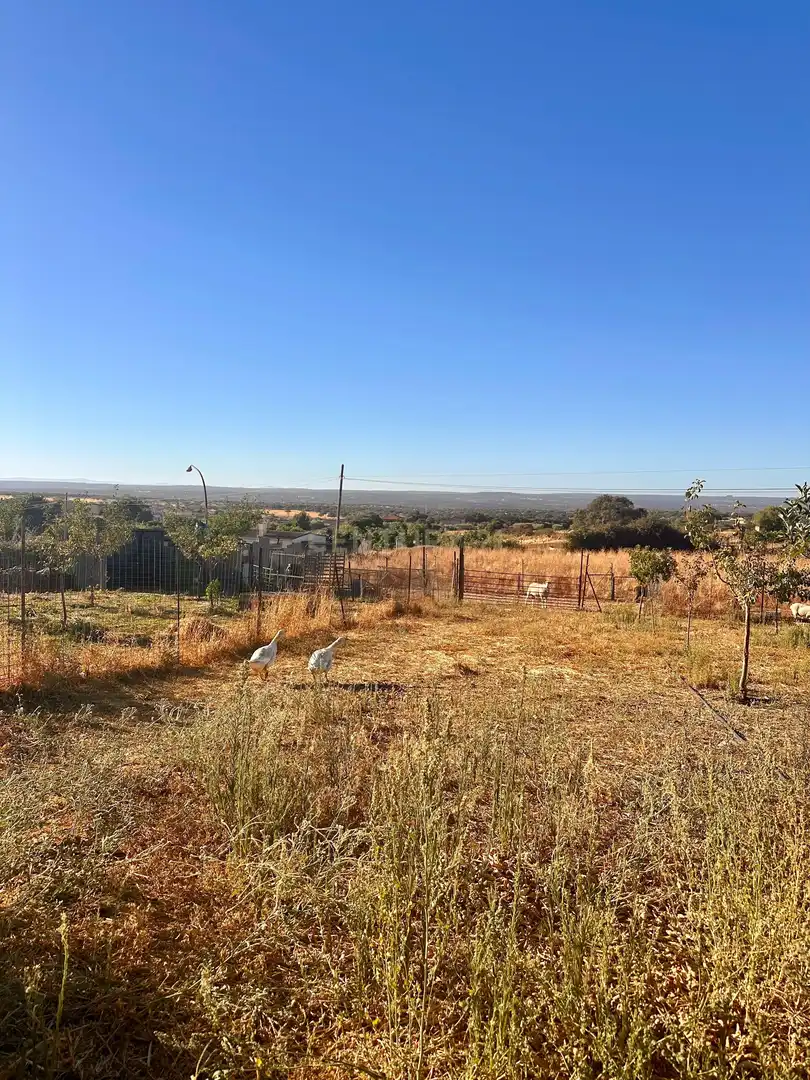 House with pool for sale in 10530 Serradilla, Spain, imagen 18