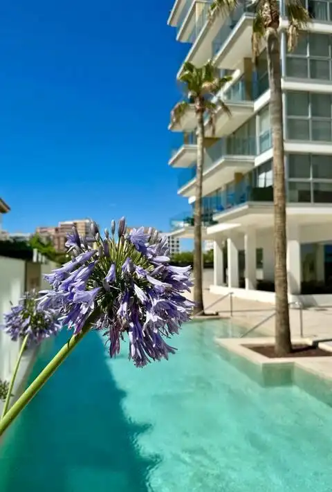 Flat for rent in Casco Urbano