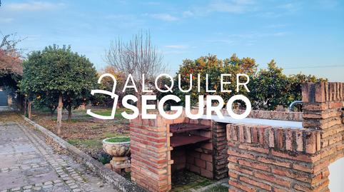 Photo 4 of House or chalet to rent in La Cuesta, Rute, Córdoba