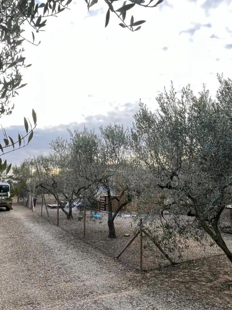 Jardí de Casa o xalet en venda en Reus amb Moblat i Forn