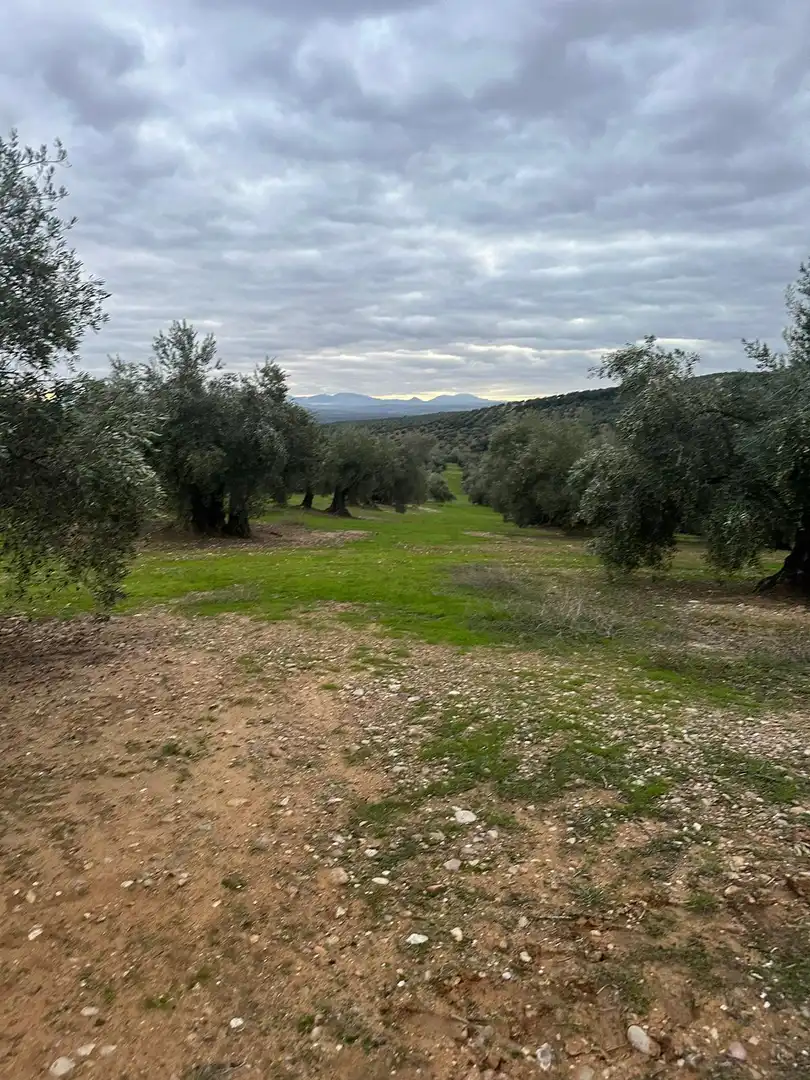 Grundstücke zum Verkauf in Andújar