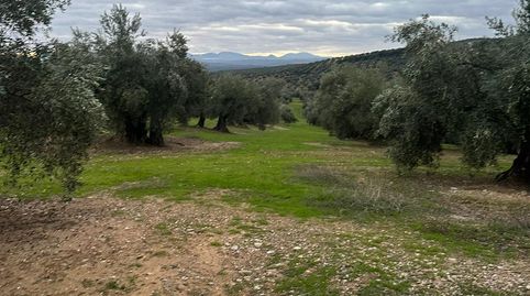 Foto 4 de Terreny en venda a Ja-2321, 181, Andújar, Jaén