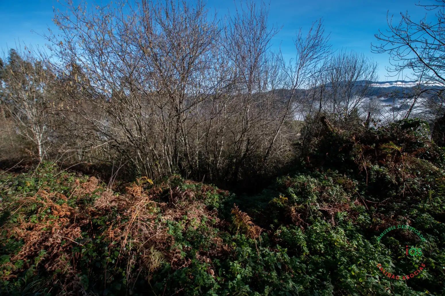 Grundstücke zum Verkauf in Cabranes