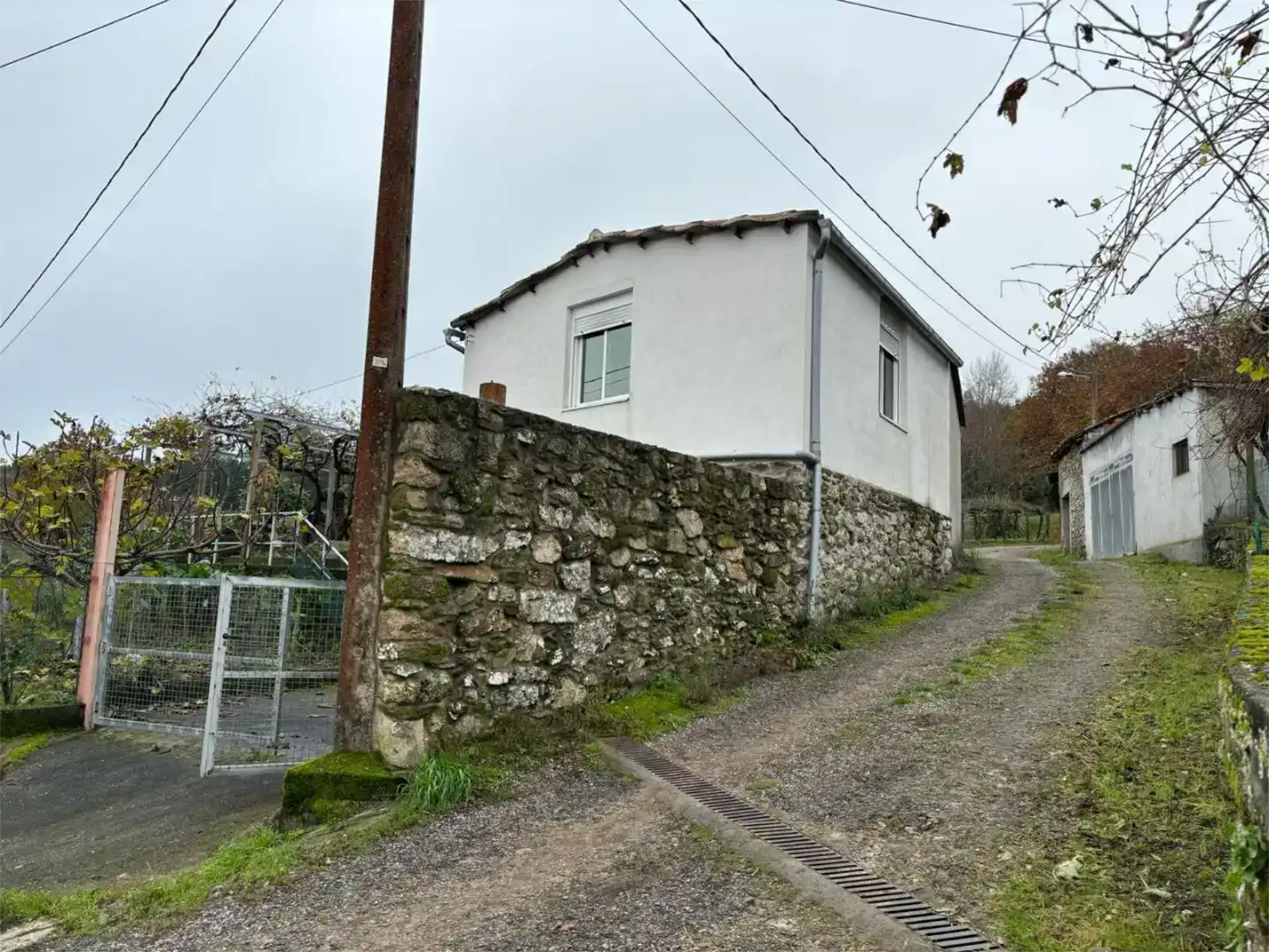 Vista exterior de Finca rústica en venta en Celanova con Jardín privado