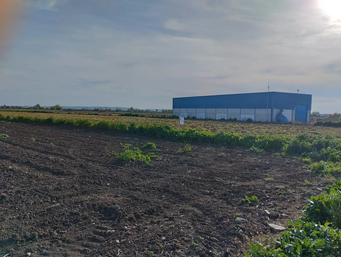 Terreno en venta en Guillena