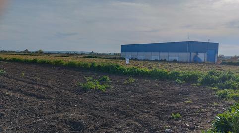 Photo 5 of Land for sale in N/a, -1, Torre de la Reina, Sevilla