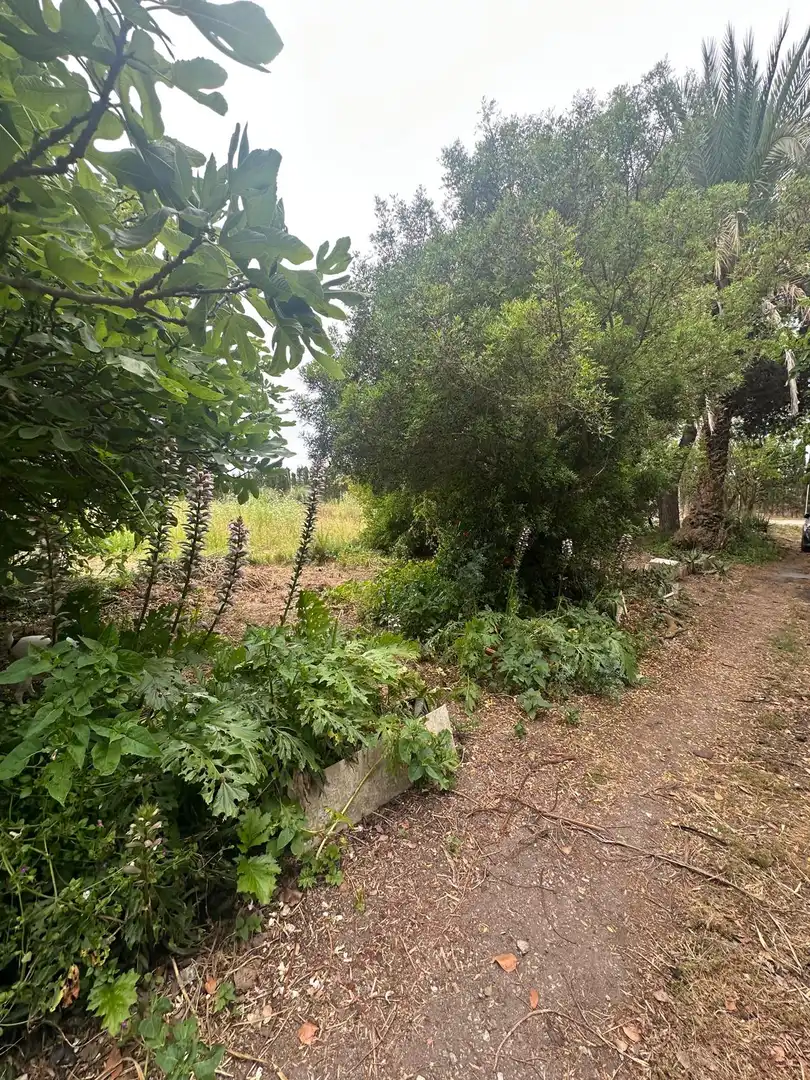 Terreni e lotti in vendita a Gavà Mar, imagen 11