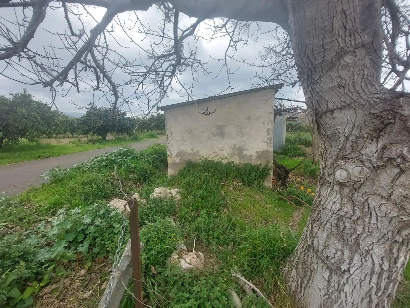 Finca rústica en venda en Xerta amb Calefacció