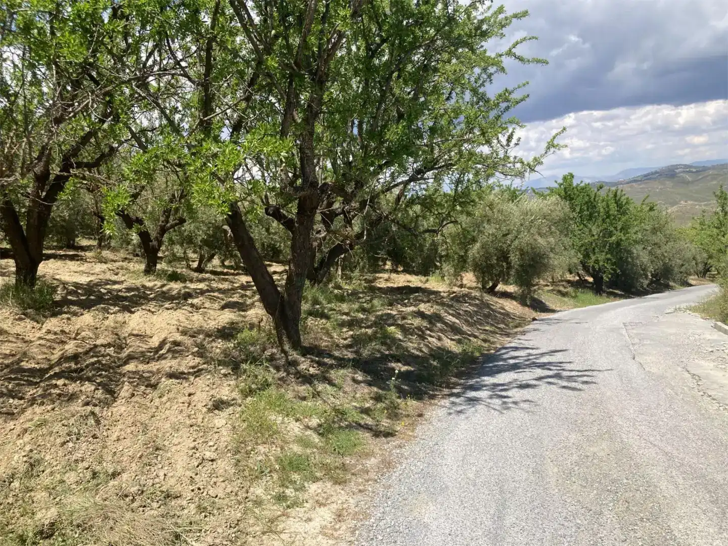 Finca rústica en venda en Güéjar Sierra