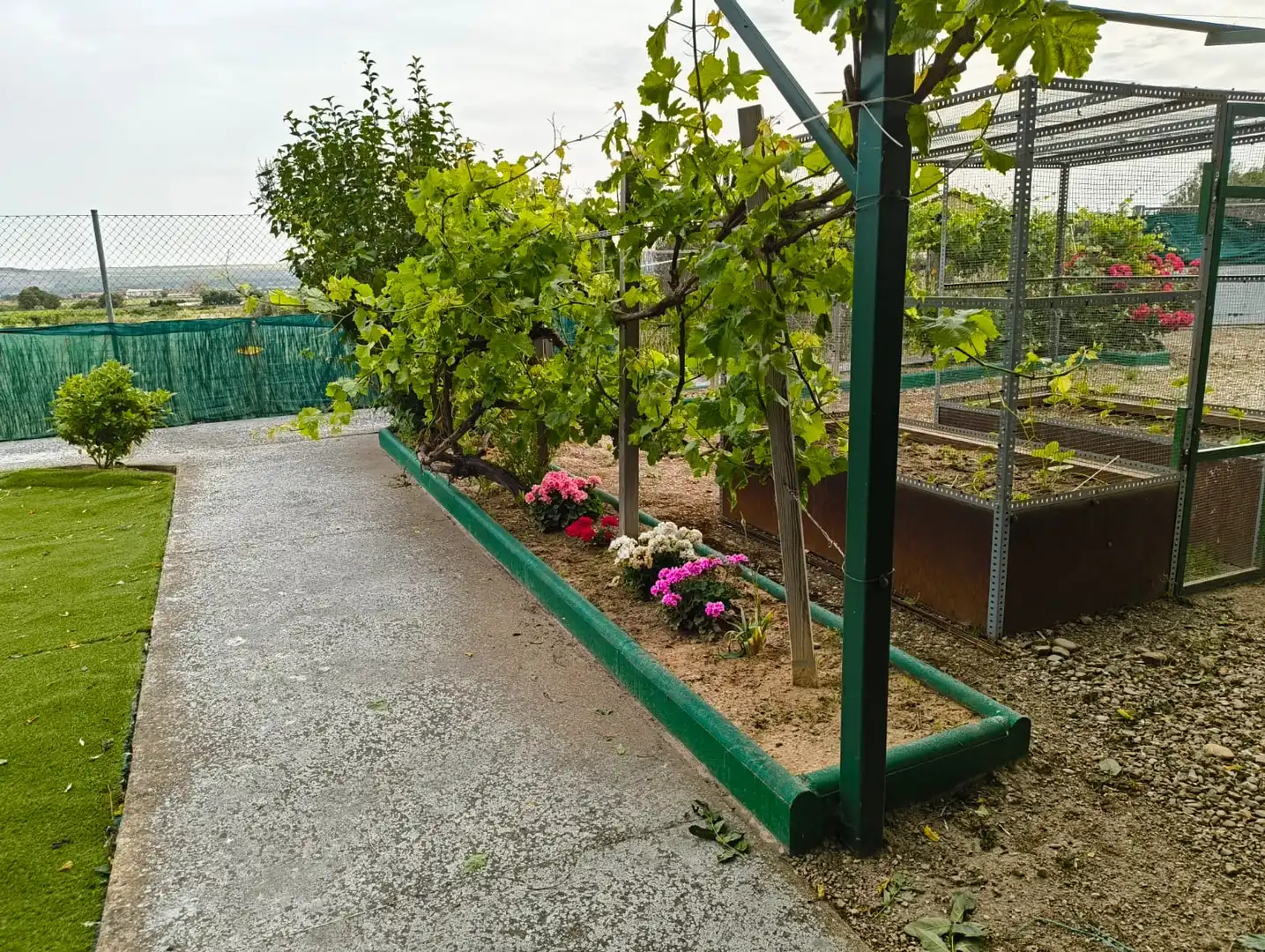 Terreno rustico in vendita a Calahorra, imagen 16