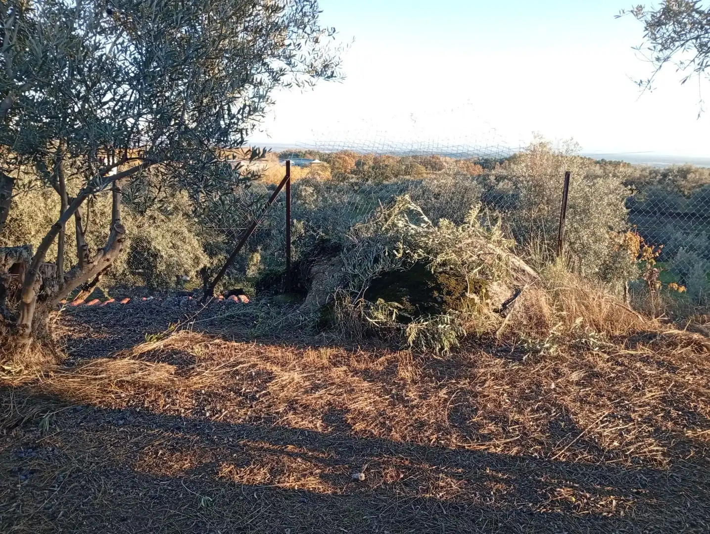 Terreni e lotti in vendita a Villanueva de la Vera, imagen 45