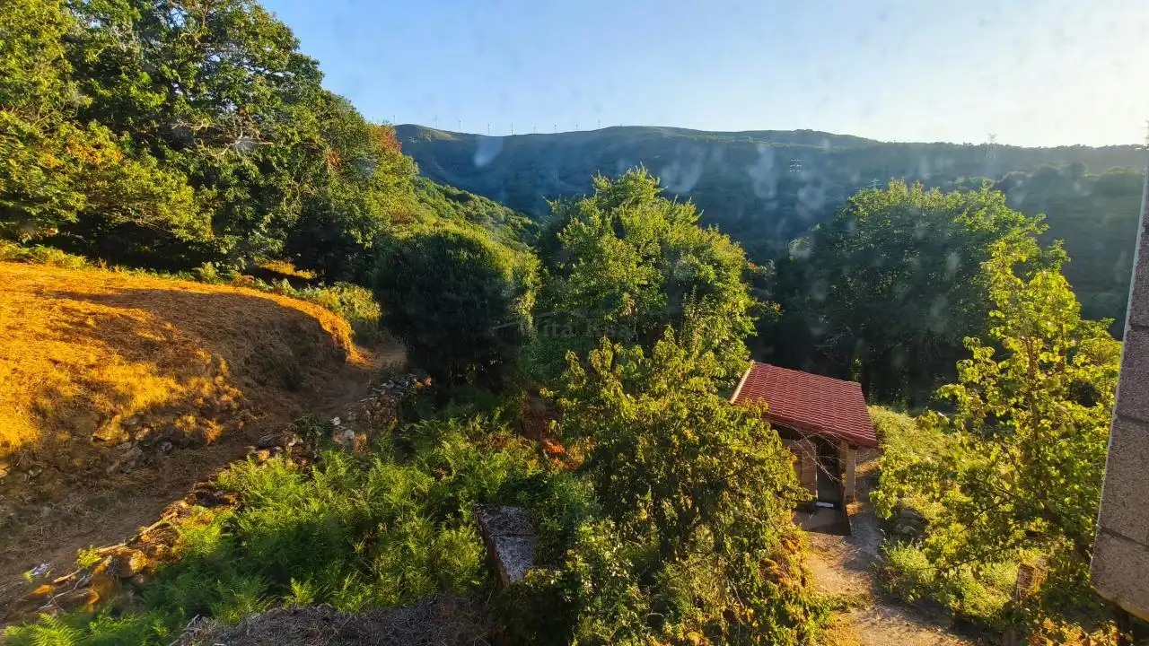 Jardí de Finca rústica en venda en Nogueira de Ramuín amb Jardí privat i Traster