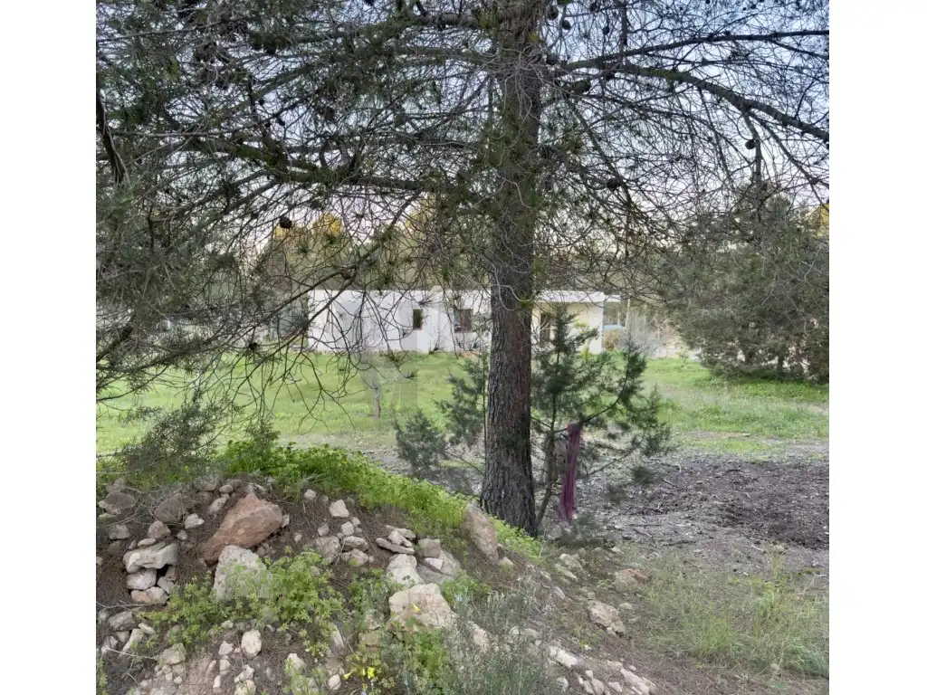 Houses for sale in Sant Josep de sa Talaia  with Private garden