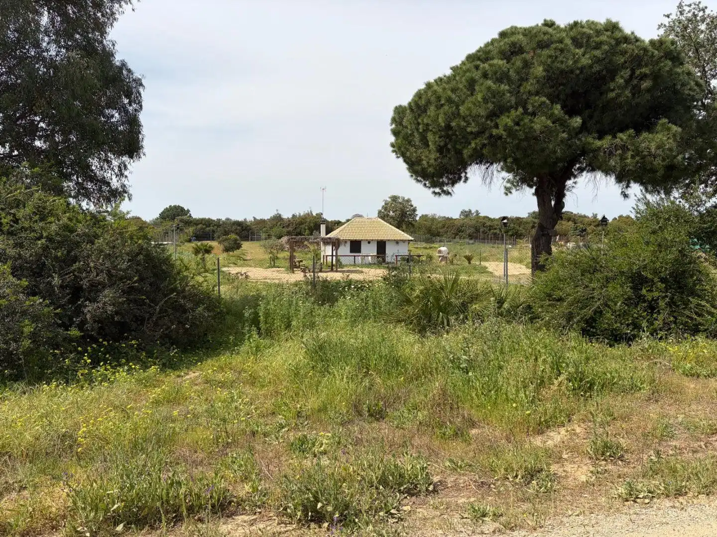 Haus mit Garten zum Verkauf in Hinojos, imagen 5