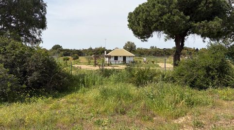 Foto 5 de Casa o chalet en venta en Hinojos, Huelva