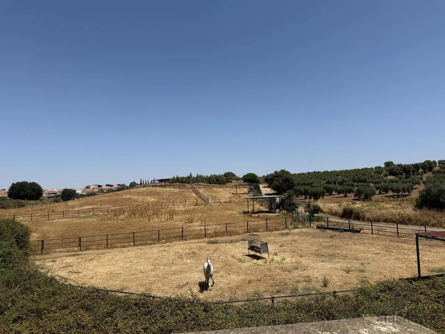 Finca rústica en venta en San Pedro de Mérida con Amueblado