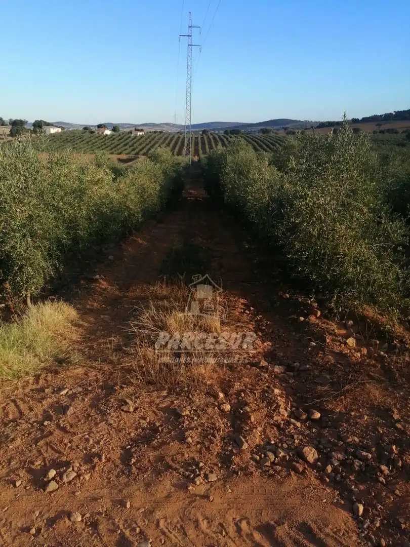 Finca rústica en venda en La Granjuela
