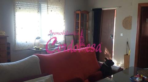 Foto 4 de Finca rústica en venda a Zona Centro,  Córdoba Capital