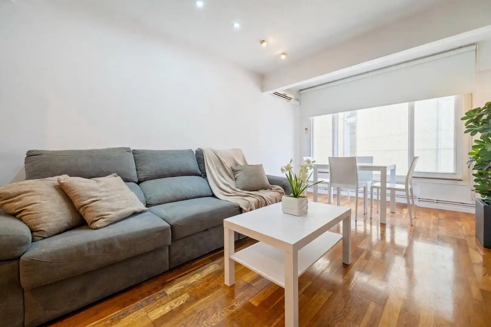 Sala d'estar de Pis en venda en Nou Eixample Sud