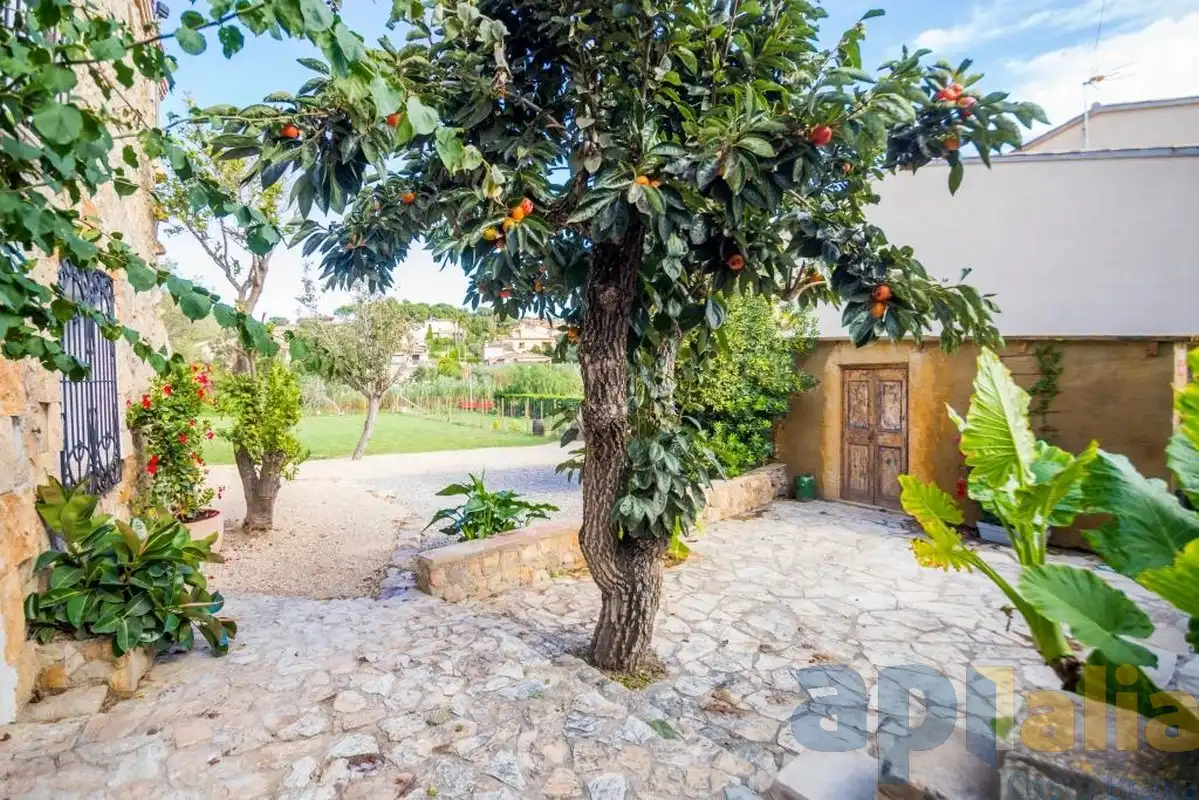 Finca rústica en venta en Carrer Marieta, Puig Ses Forques - Torre Colomina