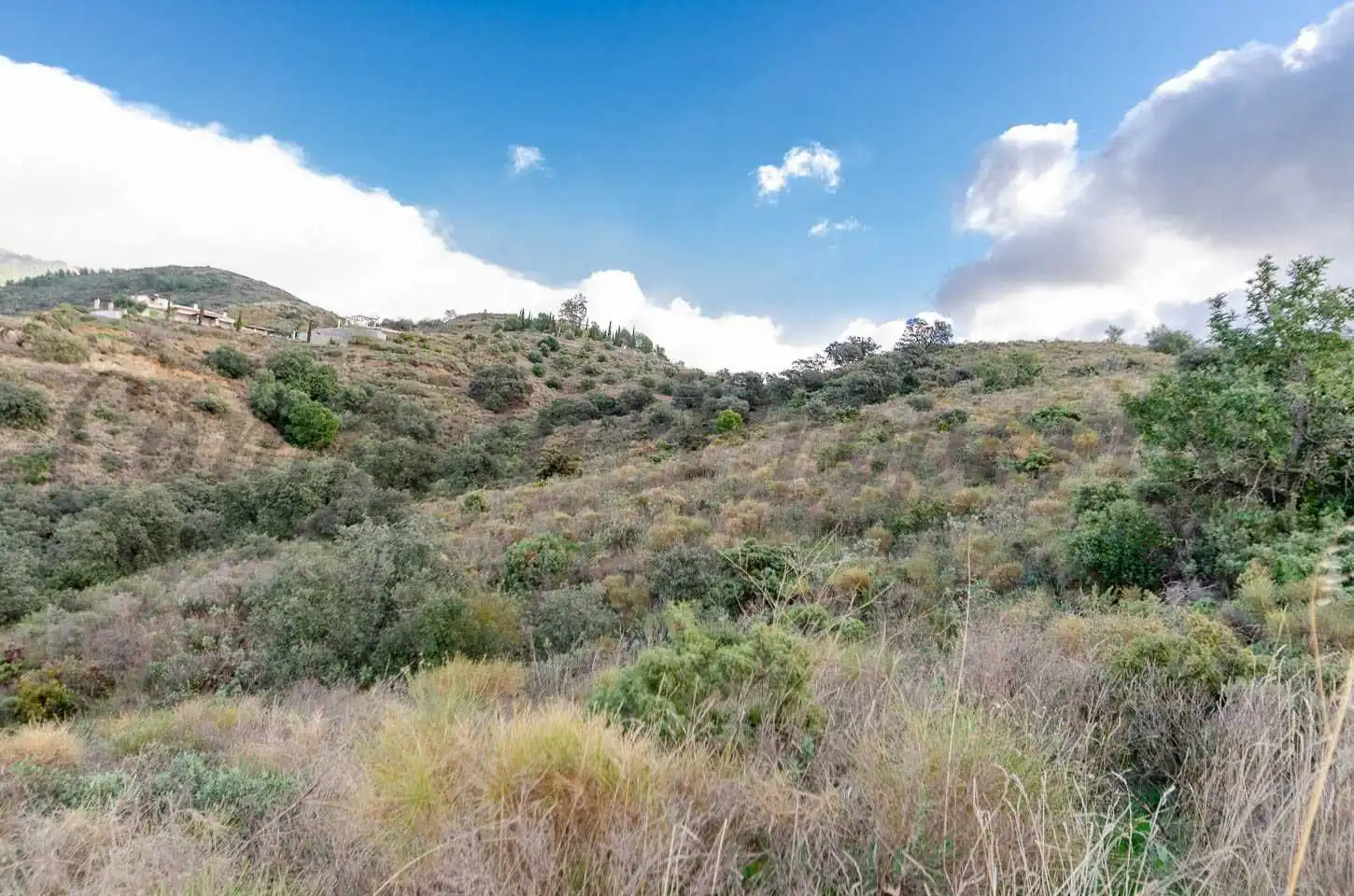 Terreno rustico in vendita a Salares, imagen 7