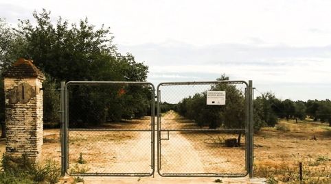 Photo 4 of Land for sale in Polígono 11 Parcela 69 el Llano. Villamanrique de, Villamanrique de la Condesa, Sevilla