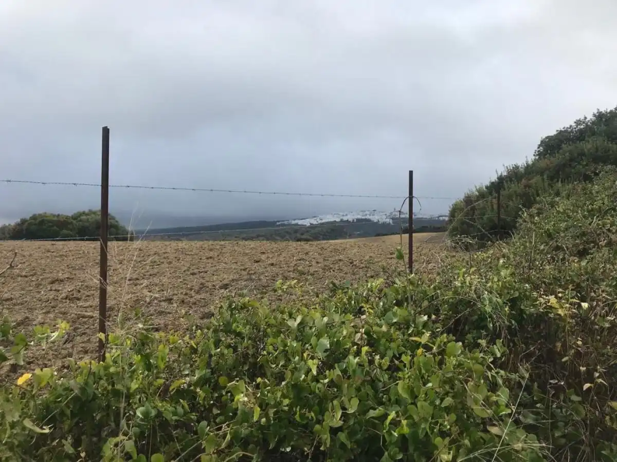 Terreny rústic en venda a Vejer, imagen 5