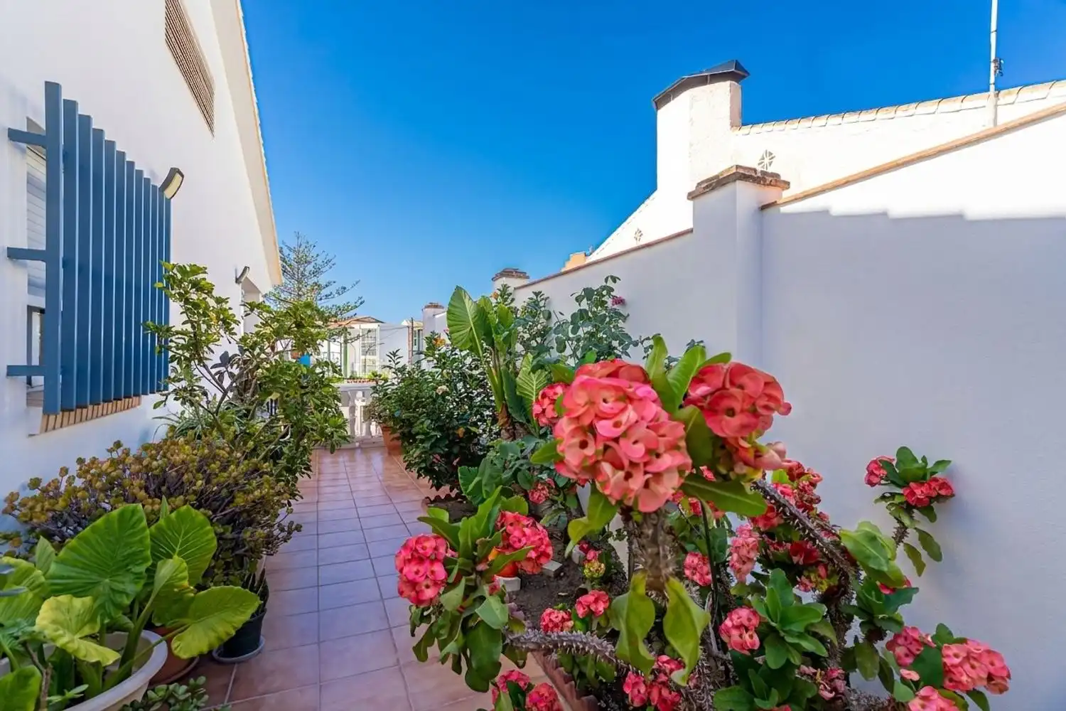 Terrassa de Casa o xalet en venda en Rincón de la Victoria amb Terrassa i Traster