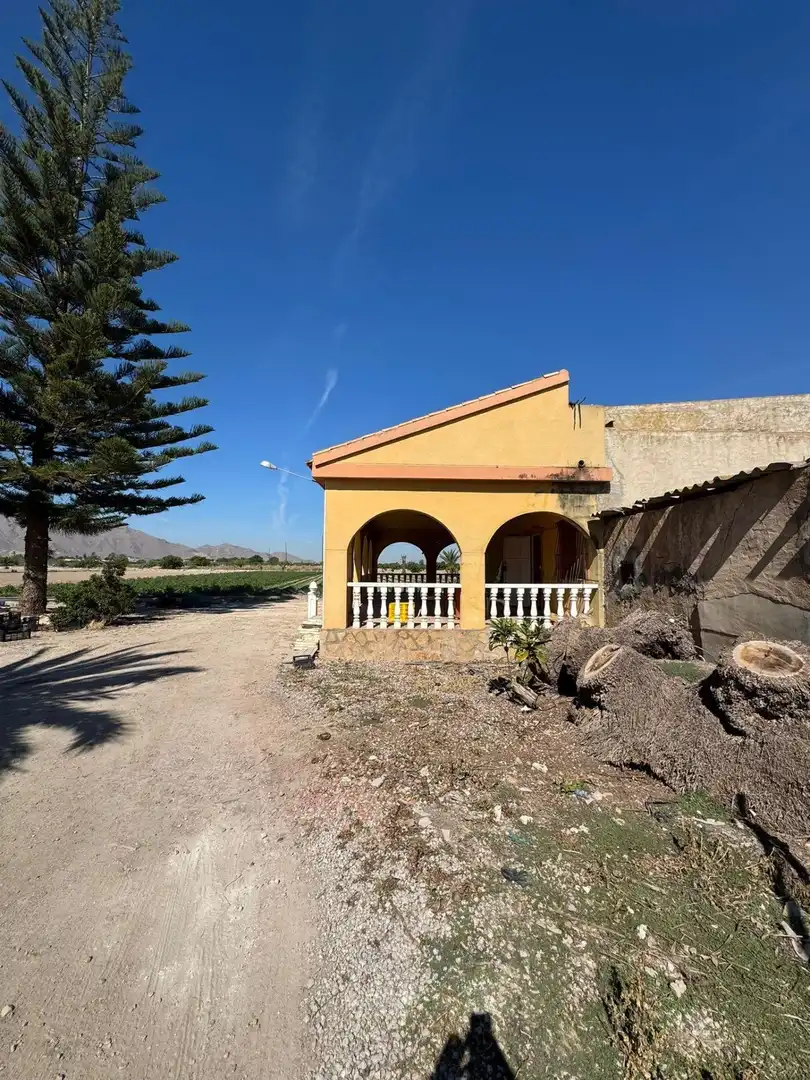 Vista exterior de Finca rústica en venta en Cox con Jardín privado