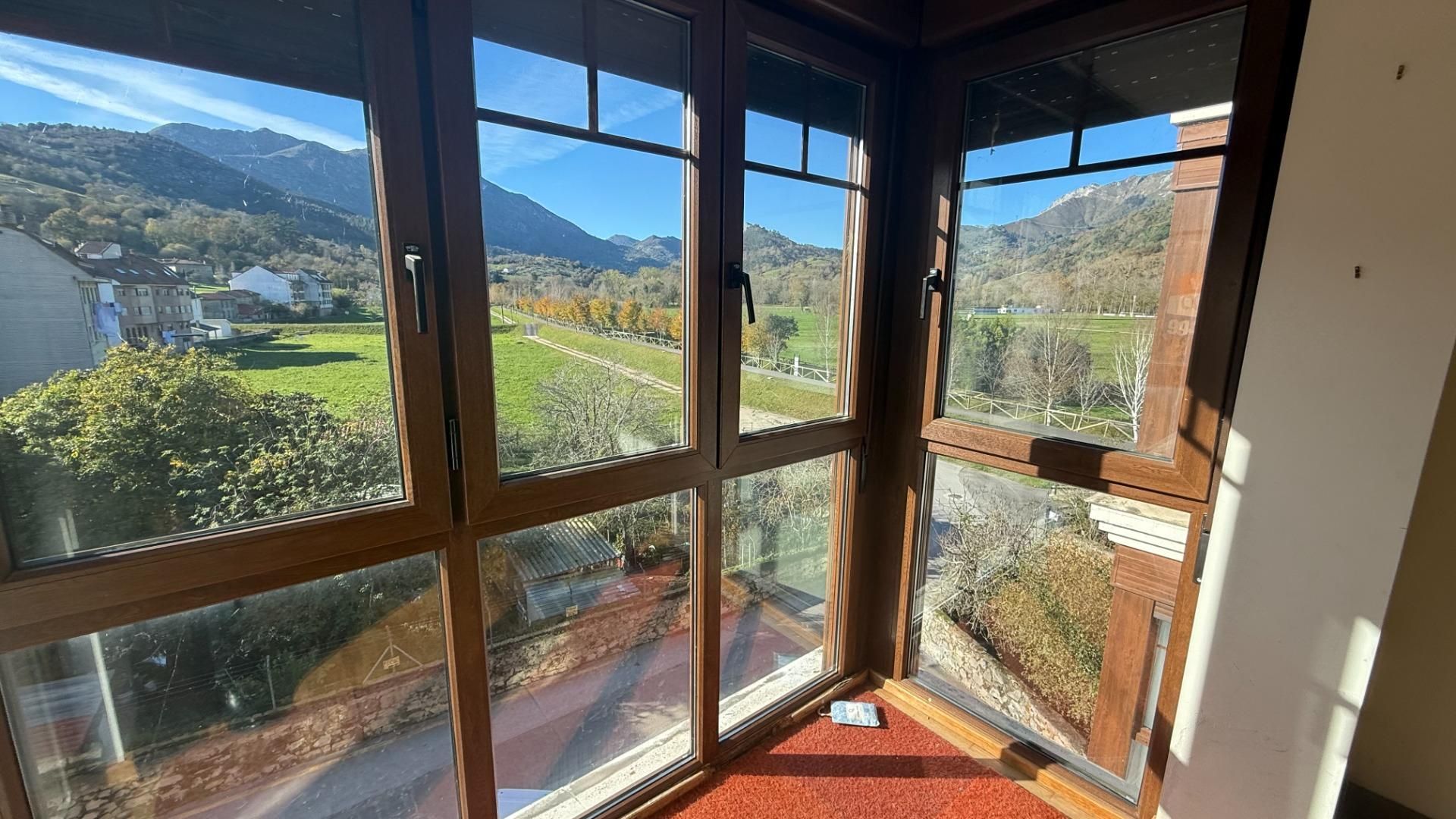 Vista exterior de Pis en venda en Peñamellera Baja